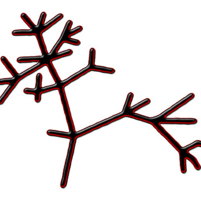 Timeline: Life on Earth