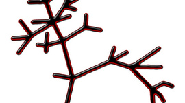 Timeline: Life on Earth