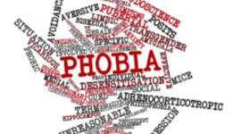 Timeline: Specific Phobias