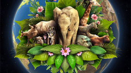 Timeline: LURREKO BIZIAREN DENBORA LERROA