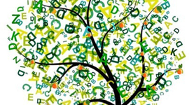 Timeline: TimeToast Project