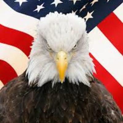 Timeline: the Causes of the American Revolution