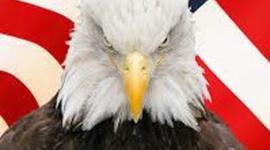 Timeline: the Causes of the American Revolution