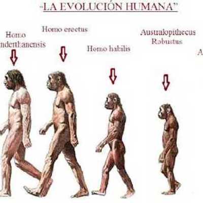 Timeline: EVOLUCIÓN HUMANA