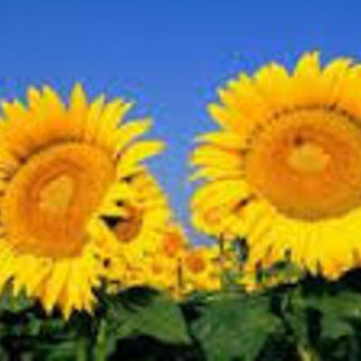 Timeline: Jahreszeiten