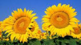 Timeline: Jahreszeiten