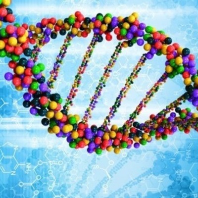 Timeline: History of DNA (by Mrs. Sweet)