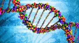 Timeline: History of DNA (by Mrs. Sweet)