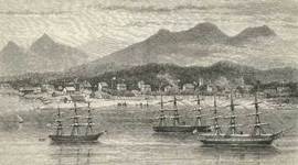 Timeline: Apisurando