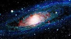 Timeline: What were the first ten animals to visit space?