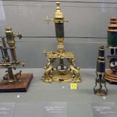Timeline: The History Of Microscope!