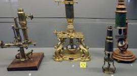 Timeline: The History Of Microscope!