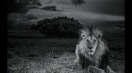 Timeline: Litteraturhistorie