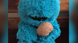 Timeline: SANDRA LORENA EINUNG HORTA