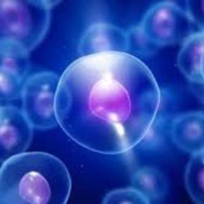 Timeline: The History Of The Cell