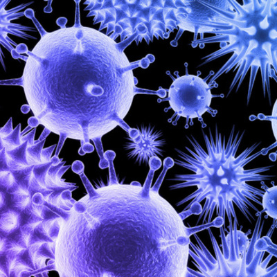 Timeline: Компьютерные вирусы.