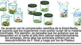 Timeline: Generación Espontánea y la  Biogénesis