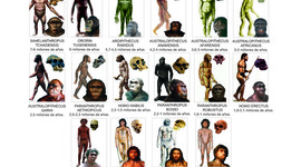 Timeline: Del mono al hombre (Evolución)