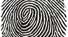 Timeline: Fingerprinting