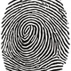 Fingerprint reader