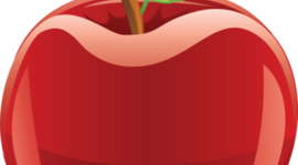 Timeline: My Educational Journey