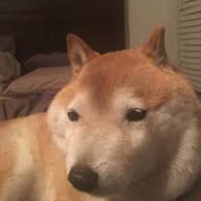 Timeline: Age of Napoleon