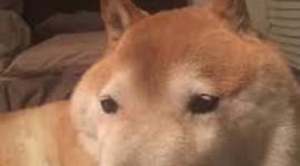 Timeline: Age of Napoleon