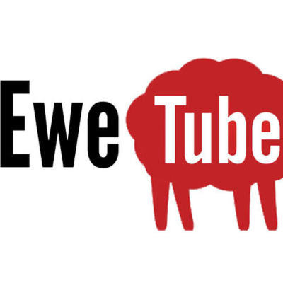 Timeline: Ewetube Character Timeline