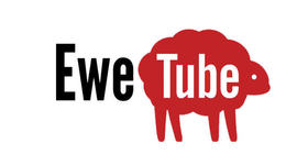 Timeline: Ewetube Character Timeline