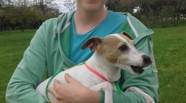 Timeline: Eje Familiar