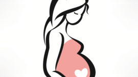 Timeline: Fetal Development Timeline - Alivia Roberts