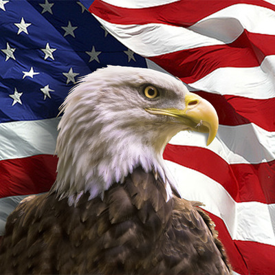 Timeline: U.S. History B