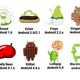 Android versions