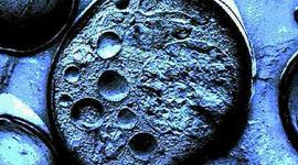 Timeline: Història de la cèl·lula