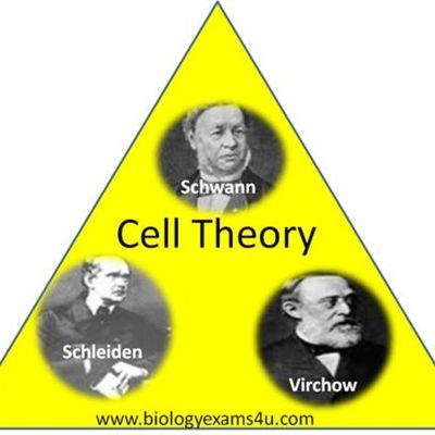 Timeline: Cell Theory Historical Timeline-Owen Geddes-Fredericksburg Academy-10/17