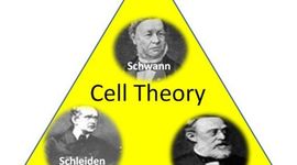 Timeline: Cell Theory Historical Timeline-Owen Geddes-Fredericksburg Academy-10/17