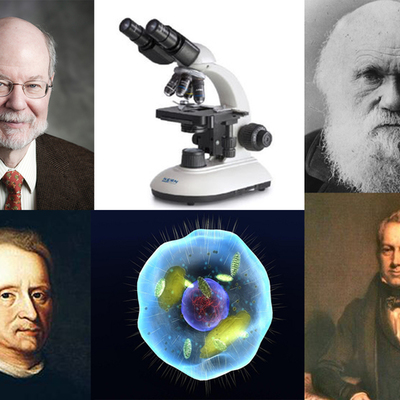 Timeline: Personajes importantes de la Biología e Historia de la Célula y su Descubrimiento