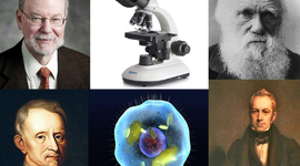 Timeline: Personajes importantes de la Biología e Historia de la Célula y su Descubrimiento