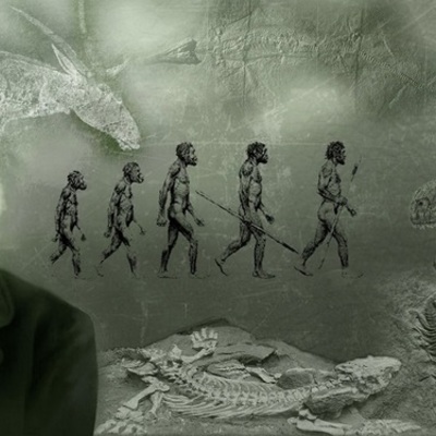 Timeline: Charles Robert Darwin x Andrea