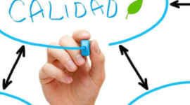 Timeline: ANTECEDENTES DE LA CALIDAD