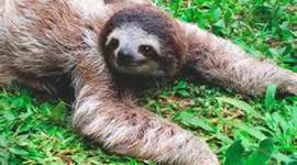 Timeline: qué es esta vaina :(