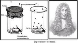 Timeline: Generación espontanea y la biogenesis