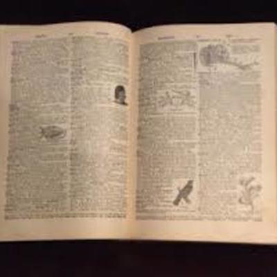 Timeline: My Technology Life Tammy Johnson