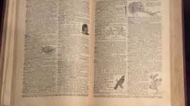 Timeline: My Technology Life Tammy Johnson