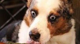 Timeline: Principales aportadores a la biología