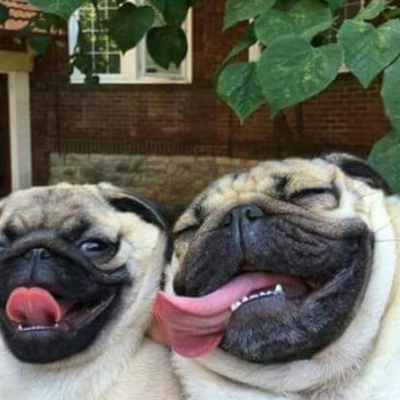 Timeline: ARIADNA ESMERALDA