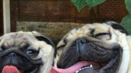 Timeline: ARIADNA ESMERALDA