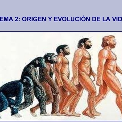 Timeline: origen y evolución de la vida en la tierra