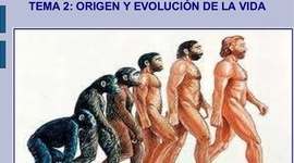 Timeline: origen y evolución de la vida en la tierra