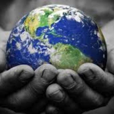 Timeline: Origen y evolución de la vida en la tierra